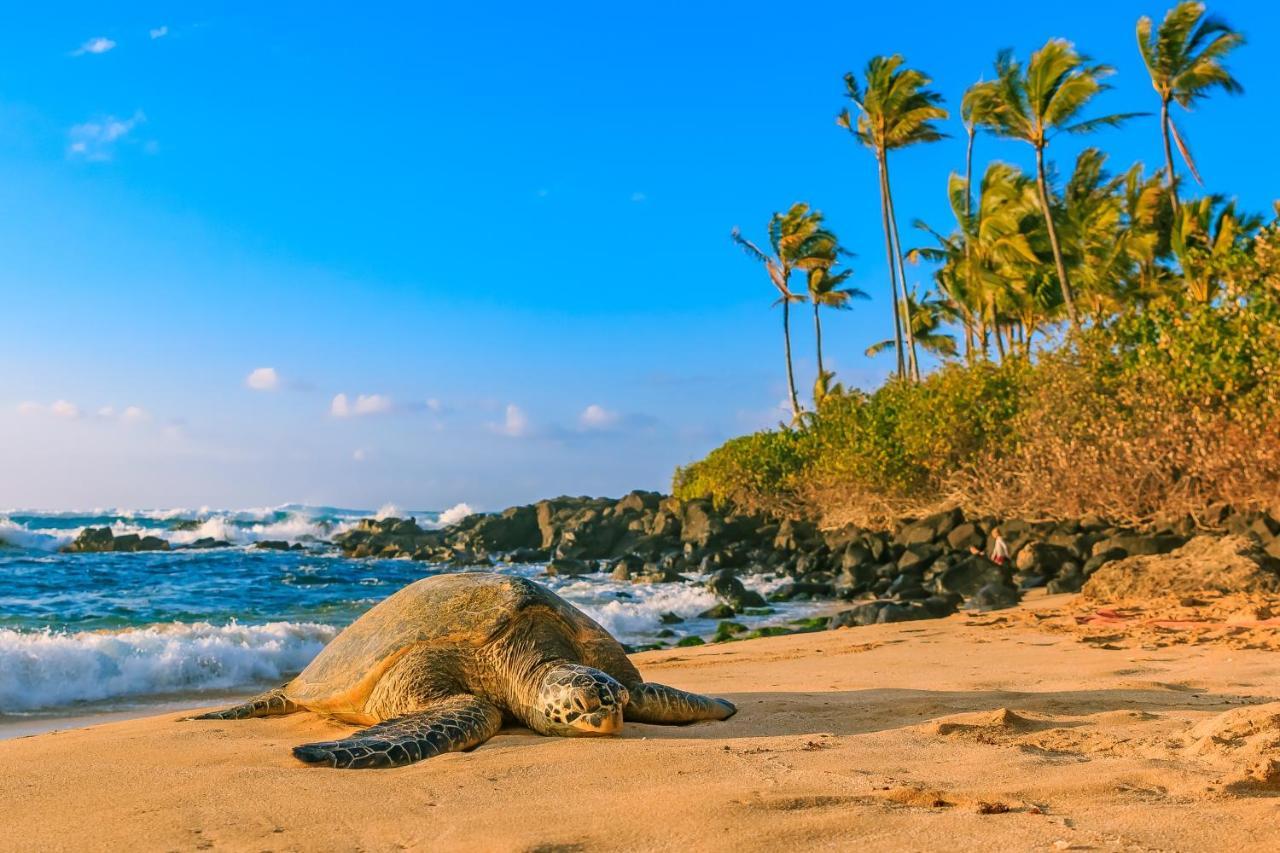 Hawaiian Monarch 1603 Condo Гонолулу Экстерьер фото